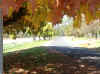 autumn_leaves_lr.jpg (84871 bytes)